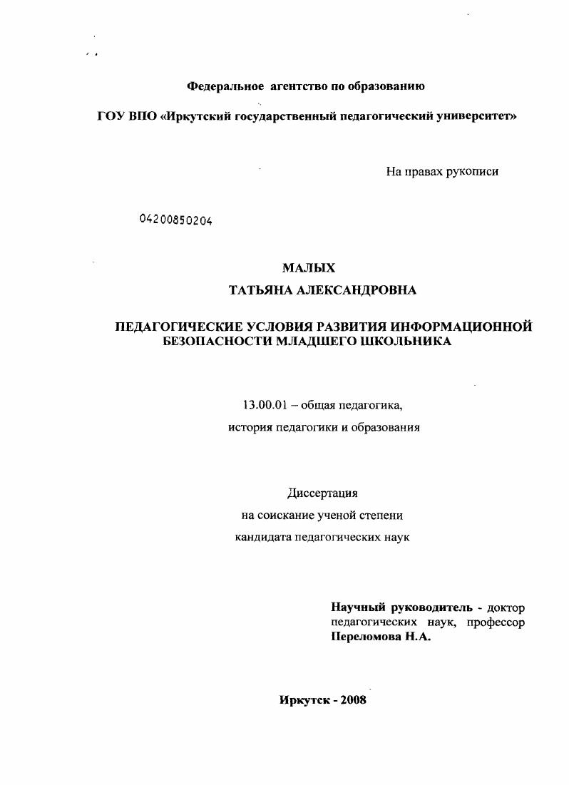 скачать диссертацию Педагогические условия развития информационной безопасности младшего школьника Педагогические условия развития информационной безопасности младшего школьника