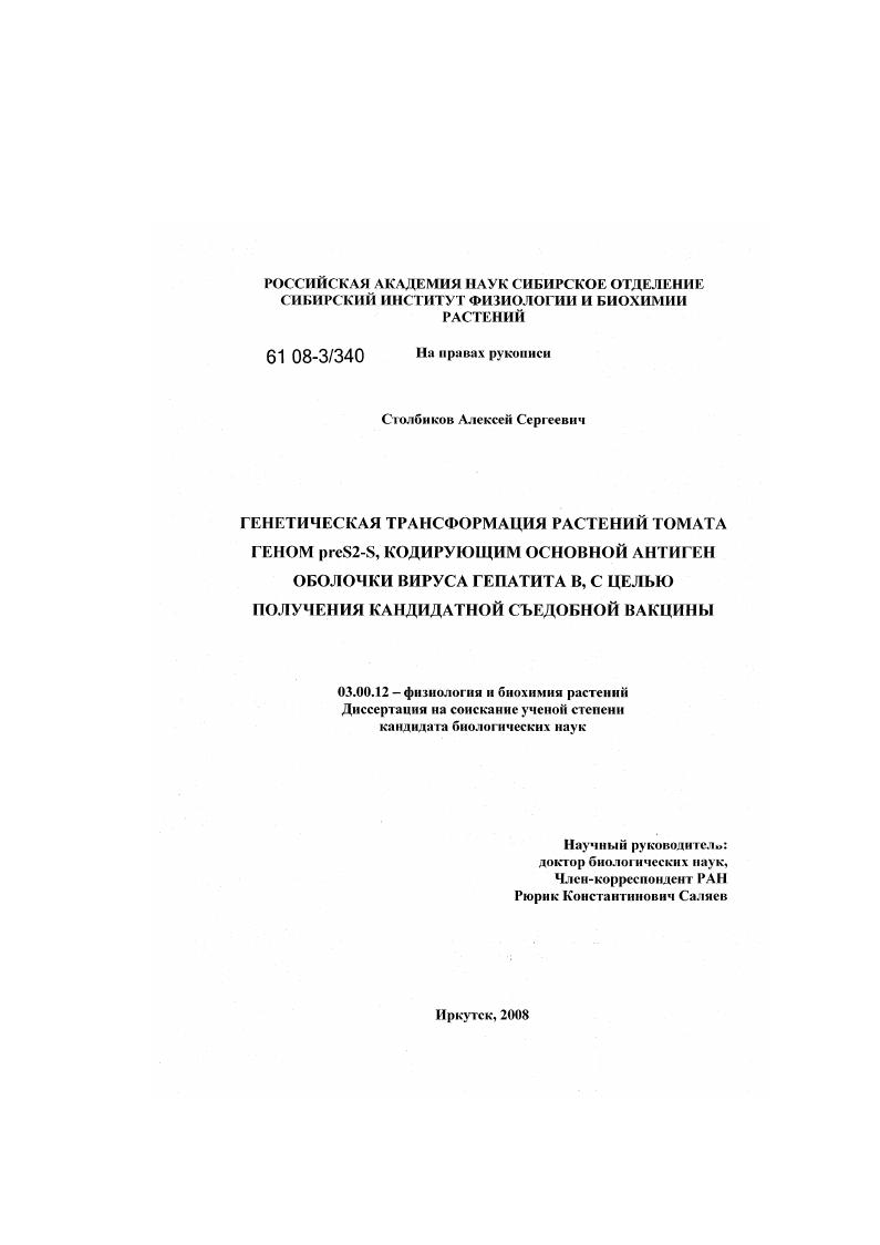 Генетическая трансформация растений томата геном preS2-S, кодирующим основной антиген оболочки вируса гепатита B, с целью получения кандидатной съедобной вакцины