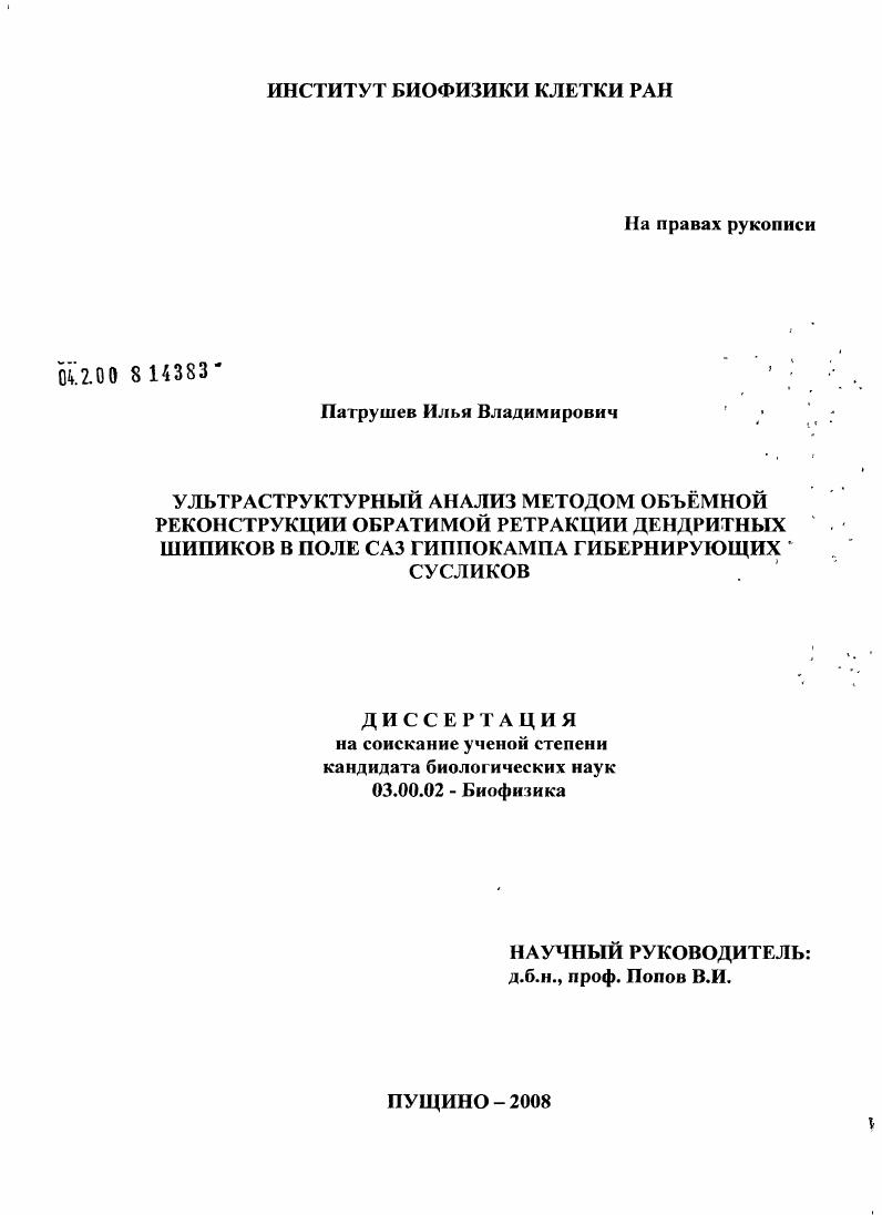 Ультраструктурный анализ методом объёмной реконструкции обратимой ретракции дендритных шипиков в поле САЗ гиппокампа гибернирующих сусликов