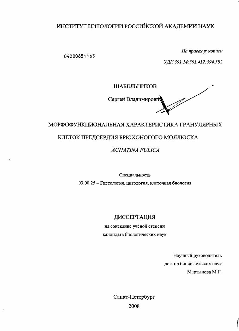 Морфофункциональная характеристика гранулярных клеток предсердия брюхоногого моллюска Achatina fulica