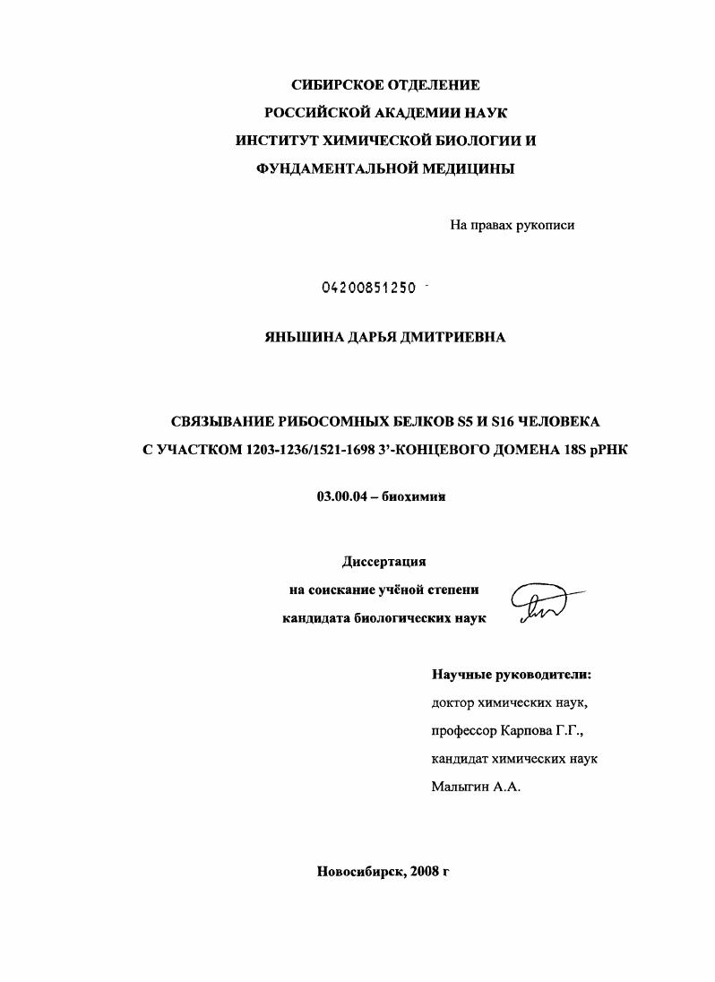скачать диссертацию Связывание рибосомных белков S5 и S16 человека с участком 1203-1236/1521-1698 3`-концевого домена 18S pРНК Связывание рибосомных белков S5 и S16 человека с участком 1203-1236/1521-1698 3`-концевого домена 18S pРНК
