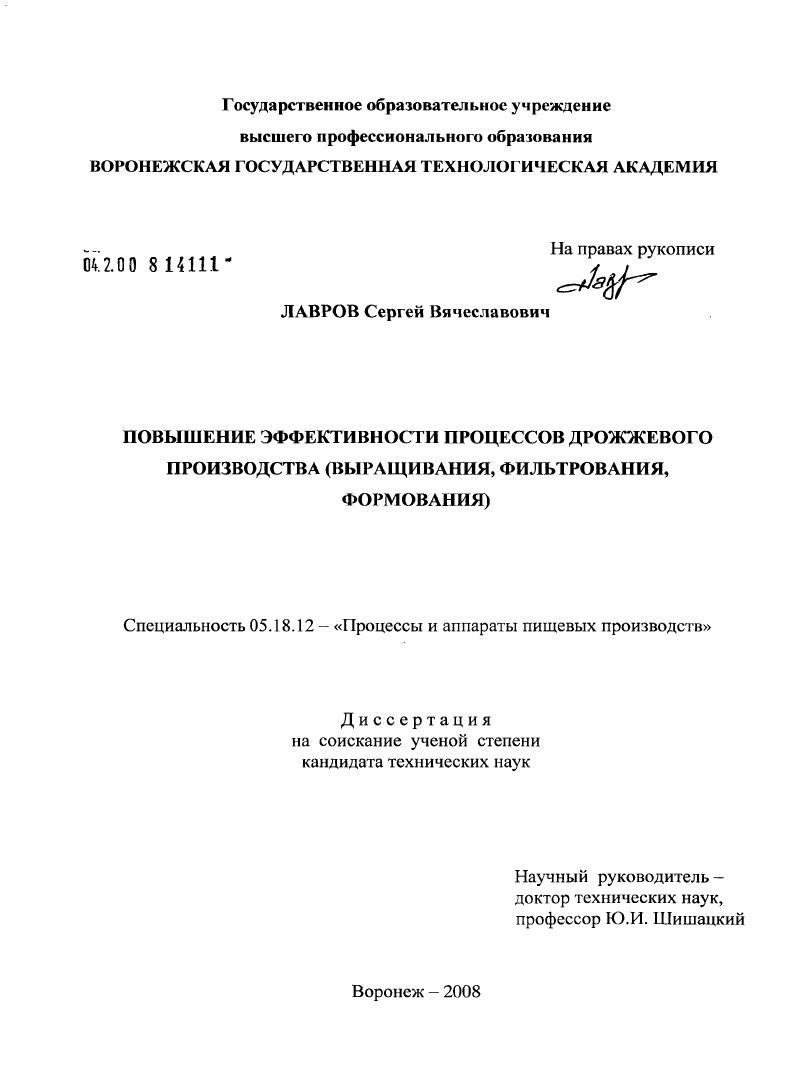Повышение эффективности процессов дрожжевого производства : выращивания, фильтрования, формования