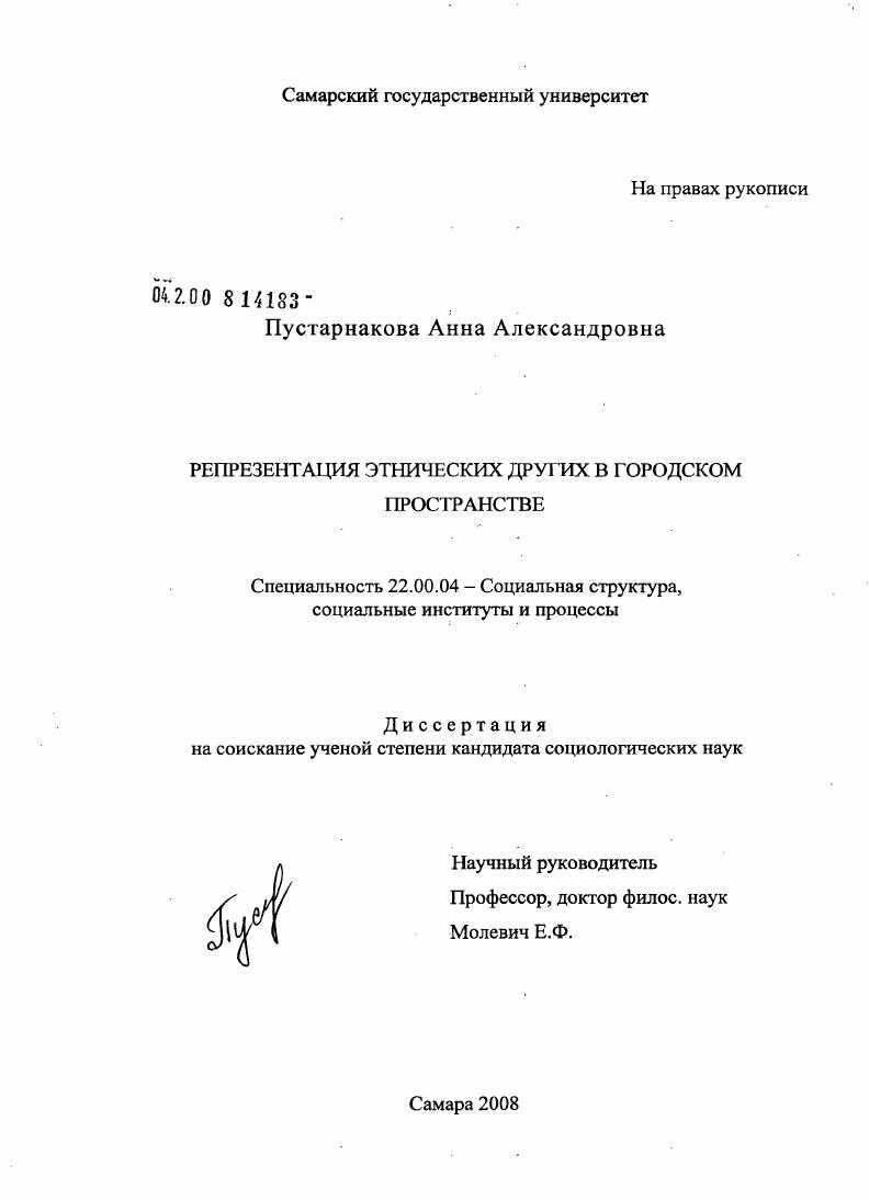 скачать диссертацию Репрезентация этнических других в городском пространстве Репрезентация этнических других в городском пространстве