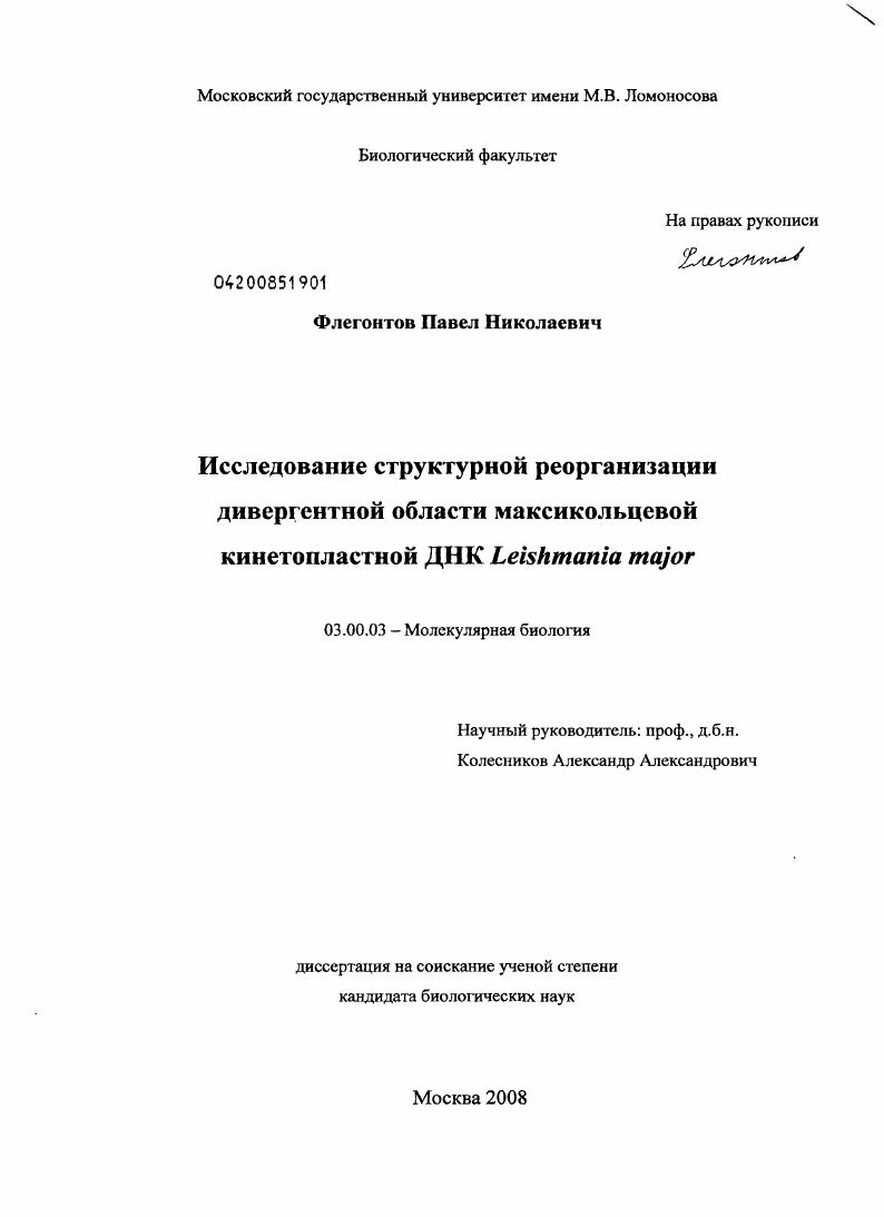 Исследование структурной реорганизации дивергентной области максикольцевой кинетопластной ДНК Leishmania major