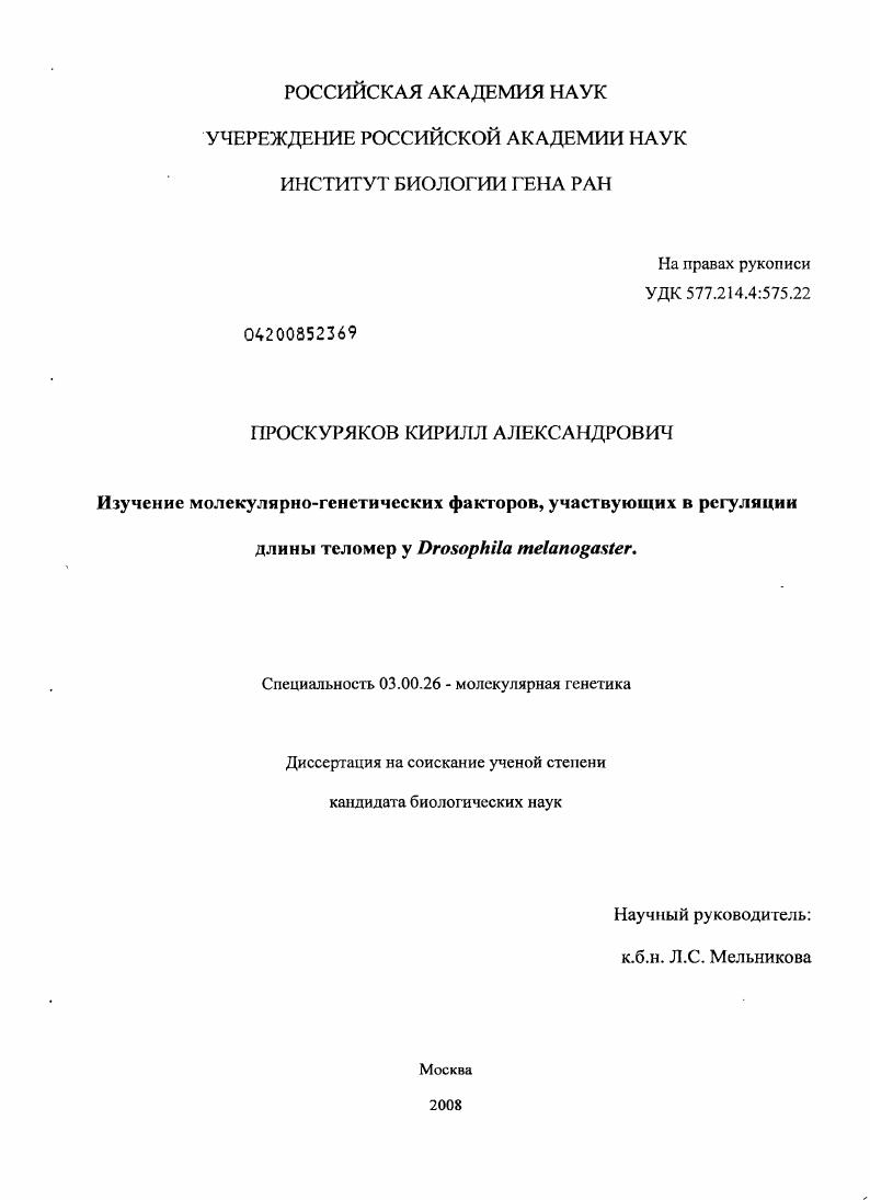 Изучение молекулярно-генетических факторов, участвующих в регуляции длины теломер у Drosophila melanogaster