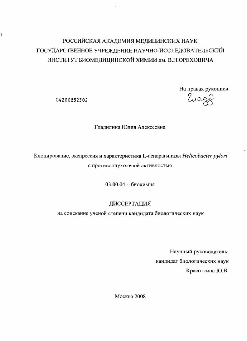 скачать диссертацию Клонирование, экспрессия и характеристика L-аспарагиназы Helicobacter pylori с противоопухолевой активностью Клонирование, экспрессия и характеристика L-аспарагиназы Helicobacter pylori с противоопухолевой активностью