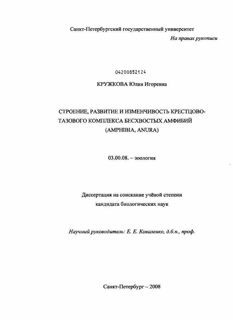 скачать диссертацию Cтроение, развитие и изменчивость крестцово-тазового комплекса бесхвостых амфибий (Amphibia, Anura) Cтроение, развитие и изменчивость крестцово-тазового комплекса бесхвостых амфибий (Amphibia, Anura)