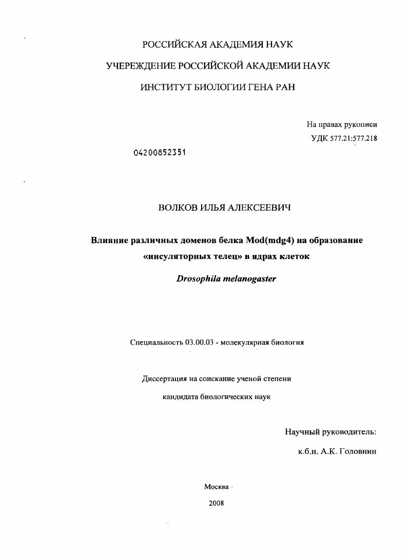 Влияние различных доменов белка Mod(mdg4) на образование "инсуляторных телец" в ядрах клеток Drosophila melanogaster