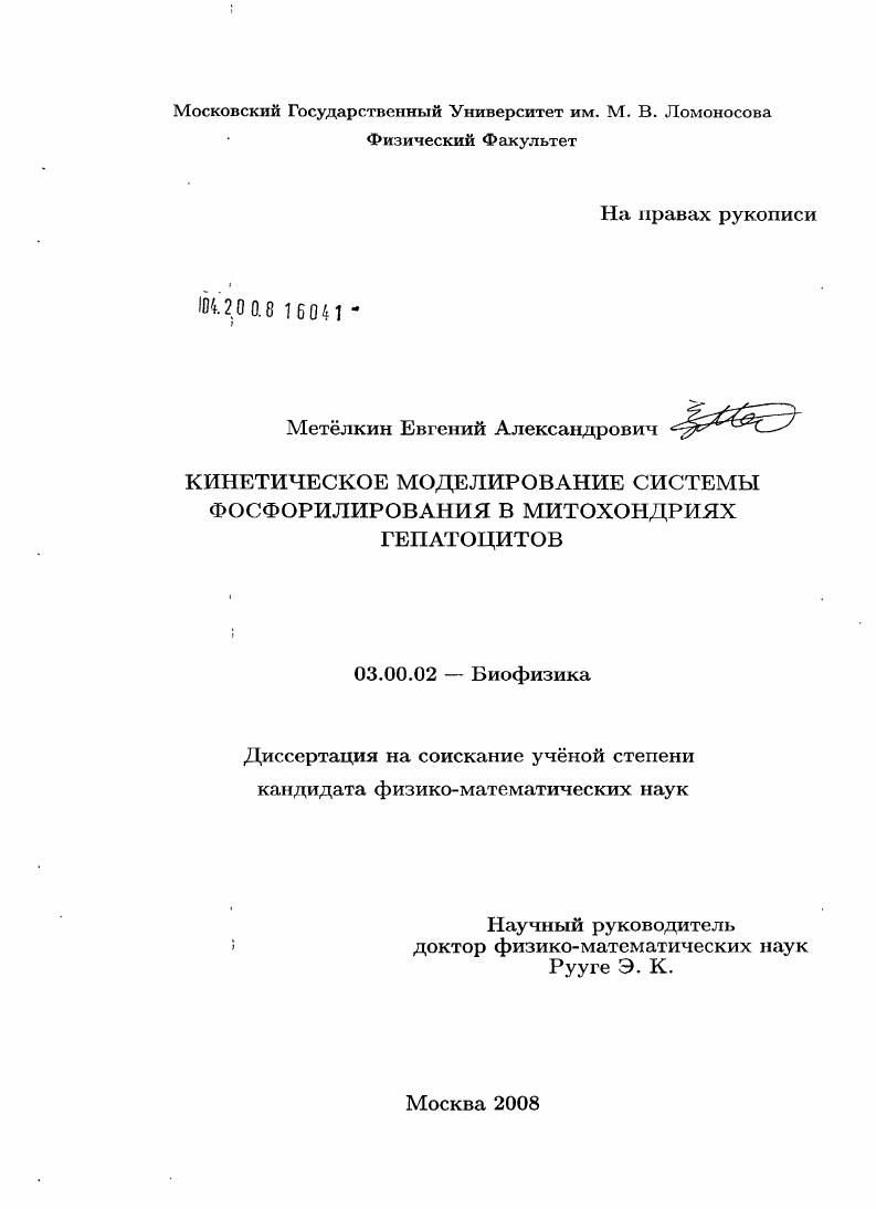 Кинетическое моделирование системы фосфорилирования в митохондриях гепатоцитов