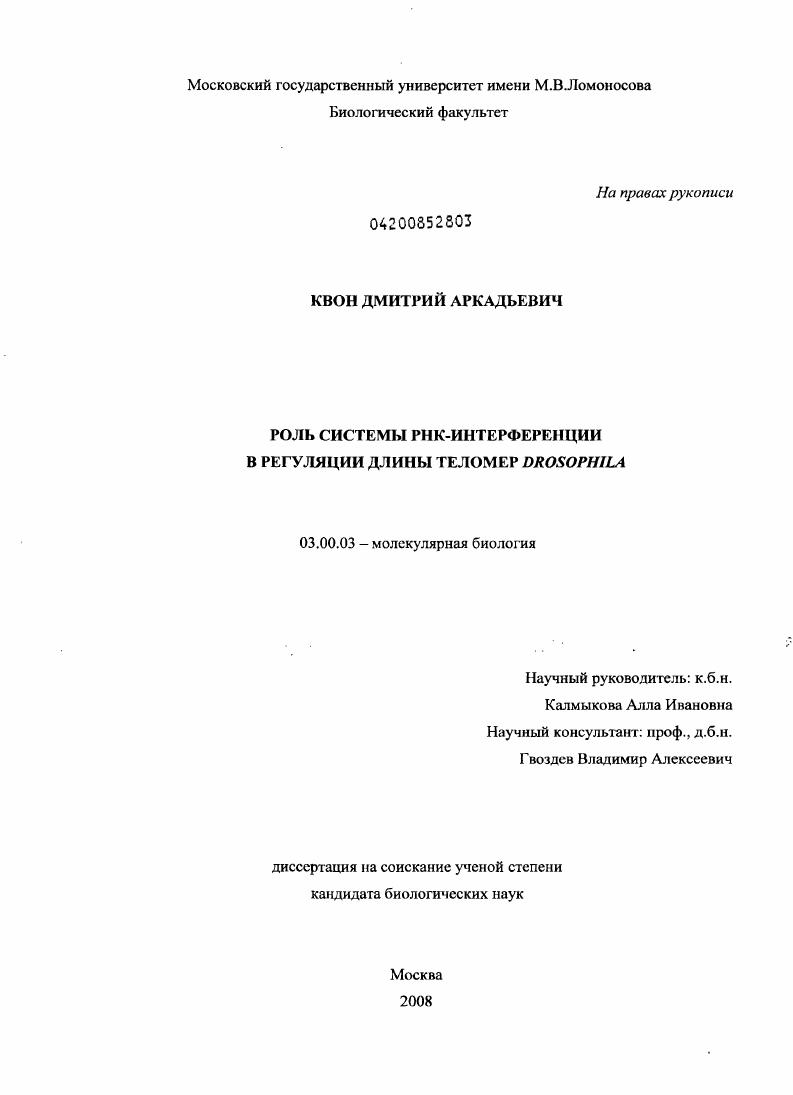 скачать диссертацию Роль системы РНК-интерференции в регуляции длины теломер Drosophila Роль системы РНК-интерференции в регуляции длины теломер Drosophila