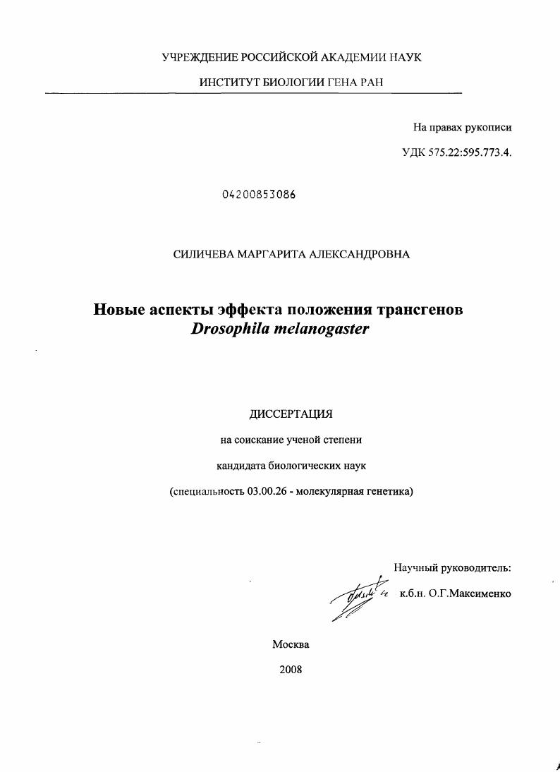 Новые аспекты эффекта положения трансгенов Drosophila melanogaster