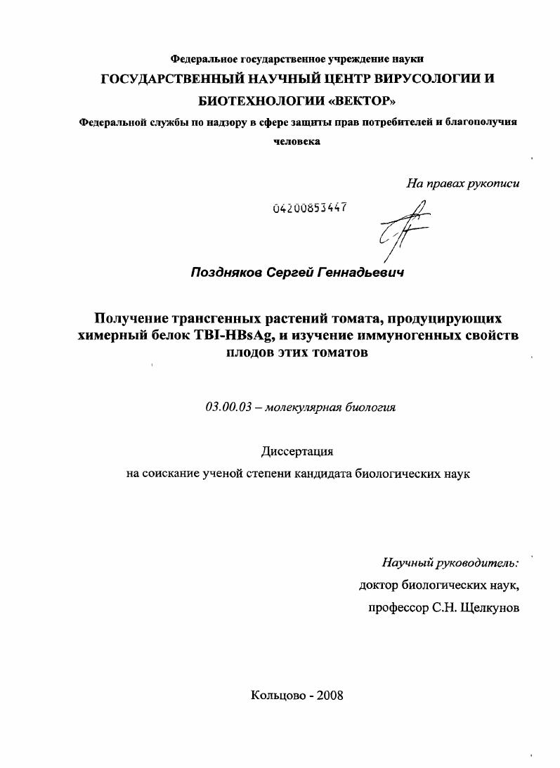 Получение трансгенных растений томата, продуцирующих химерный белок TBI-HBsAg, и изучение иммуногенных свойств плодов этих томатов