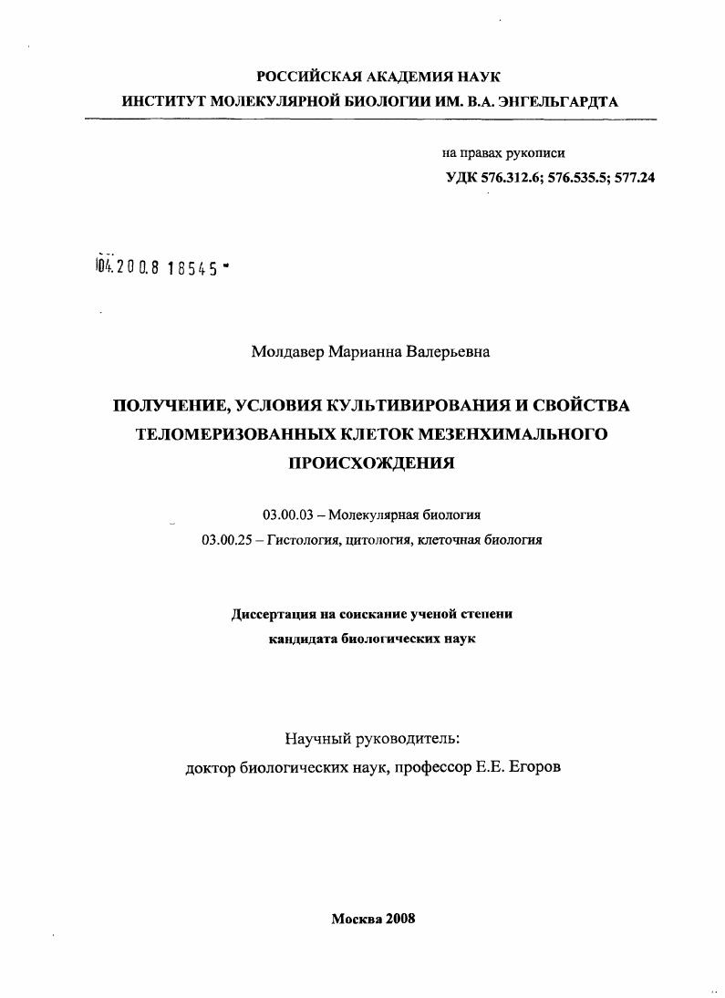 Получение, условия культивирования и свойства теломеризованных клеток мезенхимального происхождения