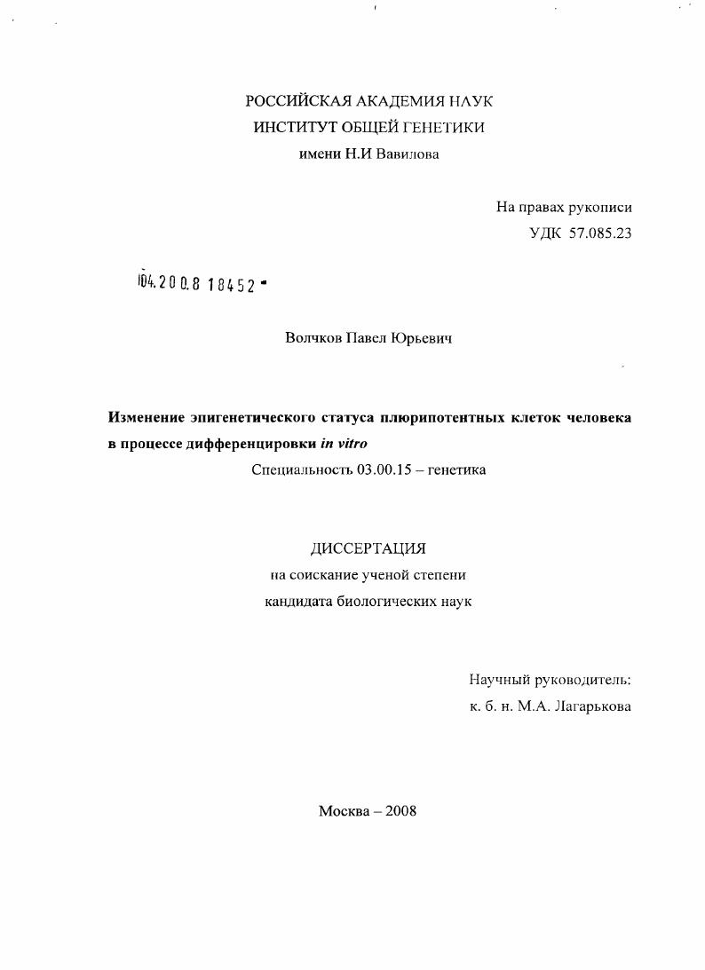 Изменение эпигенетического статуса плюрипотентных клеток человека в процессе дифференцировки in vitro