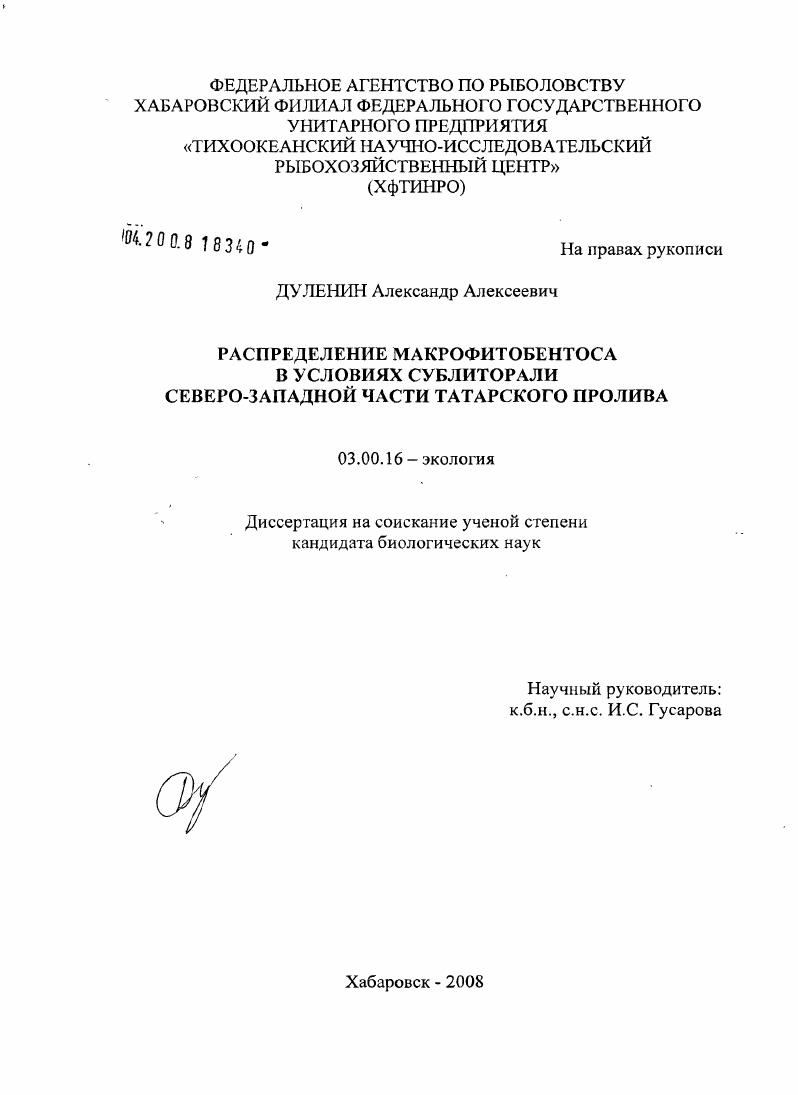 скачать диссертацию Распределение макрофитобентоса в условиях сублиторали северо-западной части Татарского пролива Распределение макрофитобентоса в условиях сублиторали северо-западной части Татарского пролива