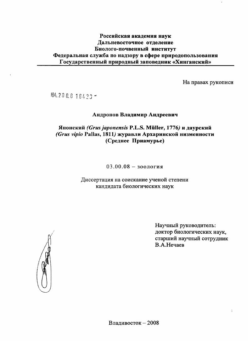 Японский (Grus japonensis P.L.S. Muller, 1776) и даурский (Grus vipio Pallas, 1811) журавли Архаринской низменности : Среднее Приамурье