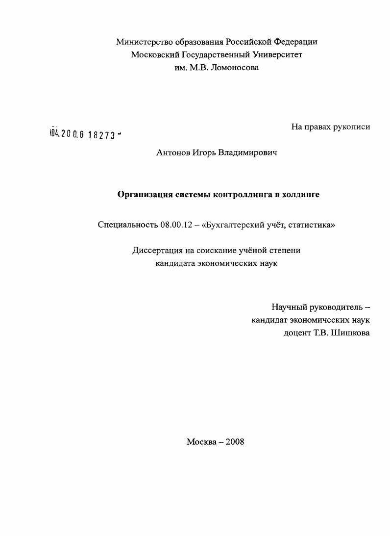 Организация системы контроллинга в холдинге