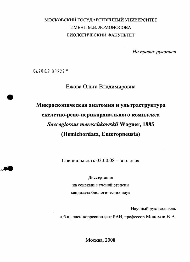 Микроскопическая анатомия и ультраструктура скелетно-рено-перикардиального комплекса Saccoglossus mereschkowskii Wagner, 1885 (Hemichordata, Enteropneusta)