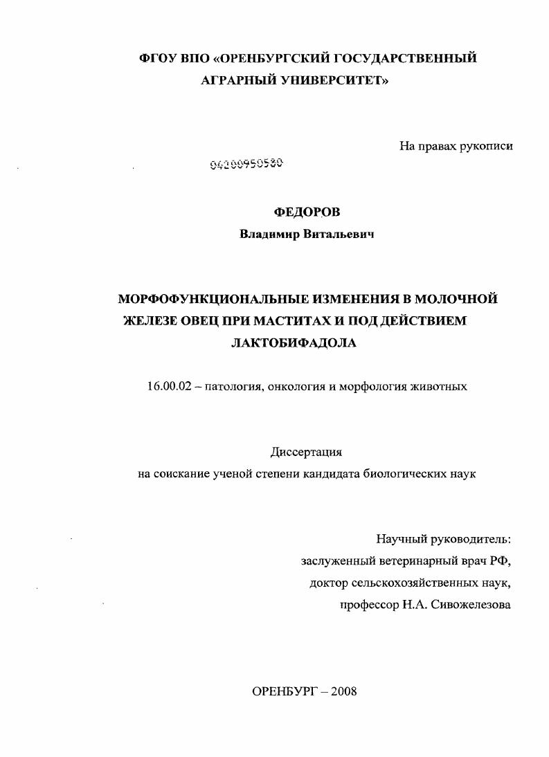 скачать диссертацию Морфофункциональные изменения в молочной железе овец при маститах и под действием лактобифадола Морфофункциональные изменения в молочной железе овец при маститах и под действием лактобифадола