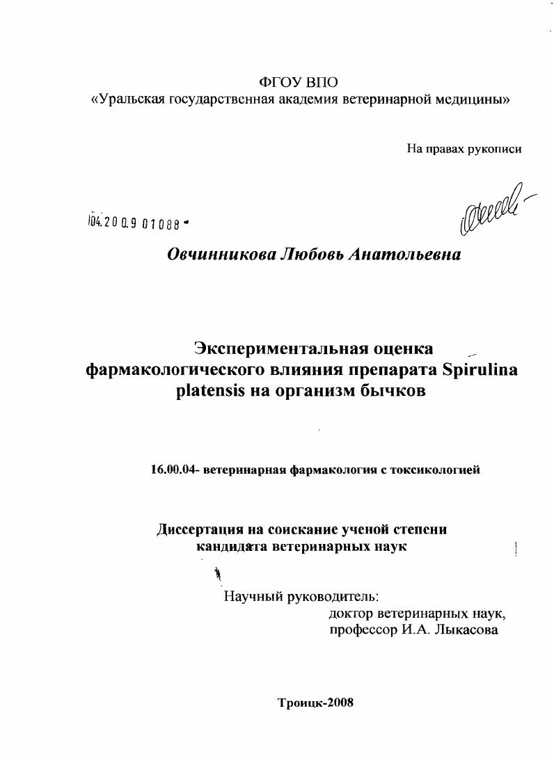 Экспериментальная оценка фармакологического влияния препарата Spirulina platensis на организм бычков