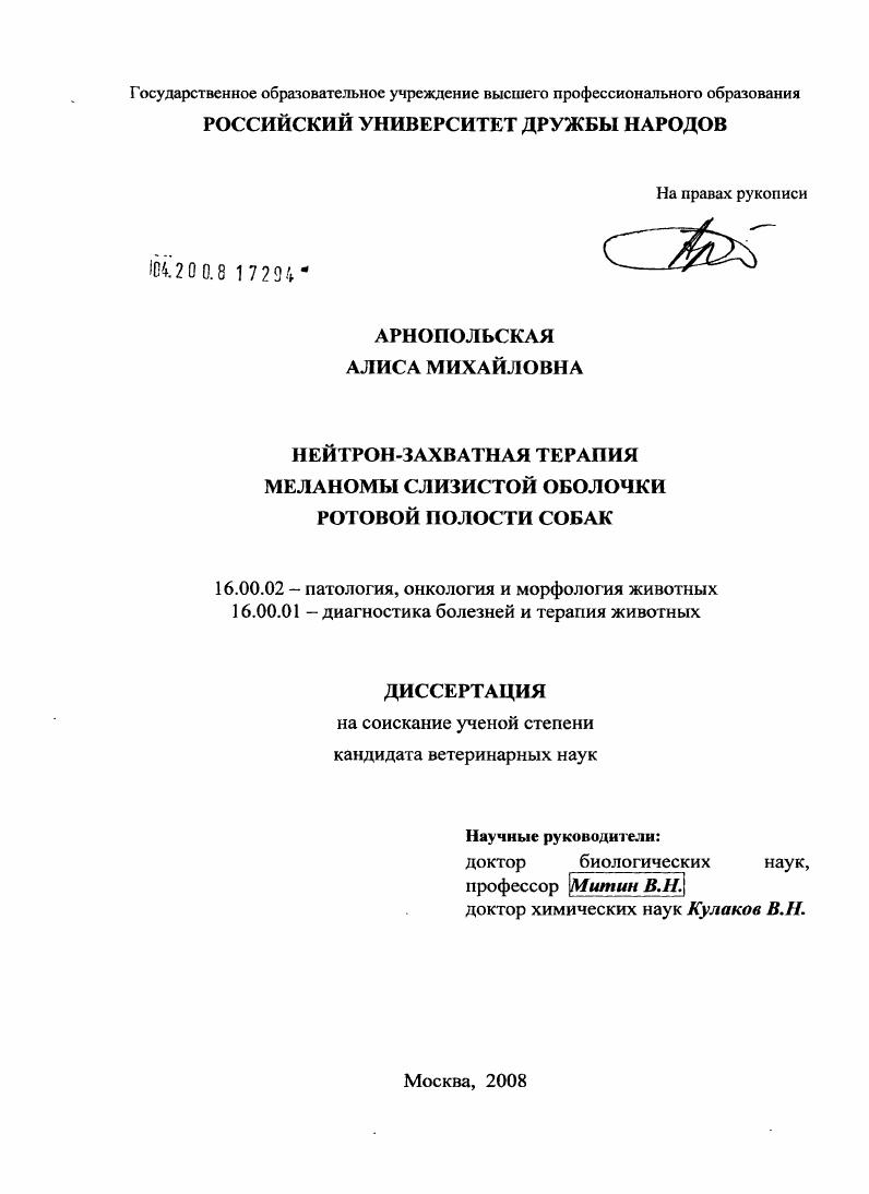 Нейтрон-захватная терапия меланомы слизистой оболочки ротовой полости собак