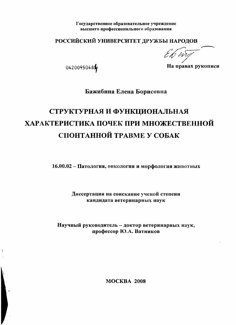 Структурная и функциональная характеристика почек при множественной спонтанной травме у собак