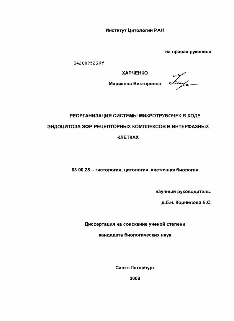 Реорганизация системы микротрубочек в ходе эндоцитоза ЭФР-рецепторных комплексов в интерфазных клетках