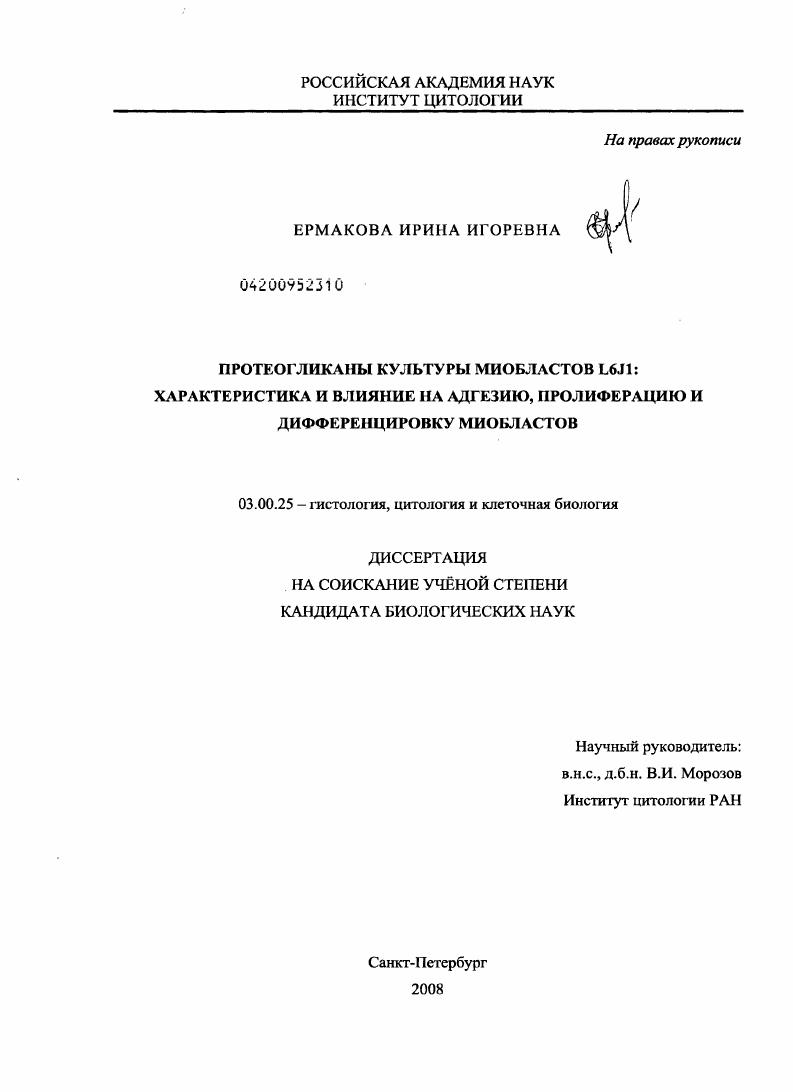 скачать диссертацию Протеогликаны культуры миобластов L6J1: характеристика и влияние на адгезию, пролиферацию и дифференцировку миобластов Протеогликаны культуры миобластов L6J1: характеристика и влияние на адгезию, пролиферацию и дифференцировку миобластов
