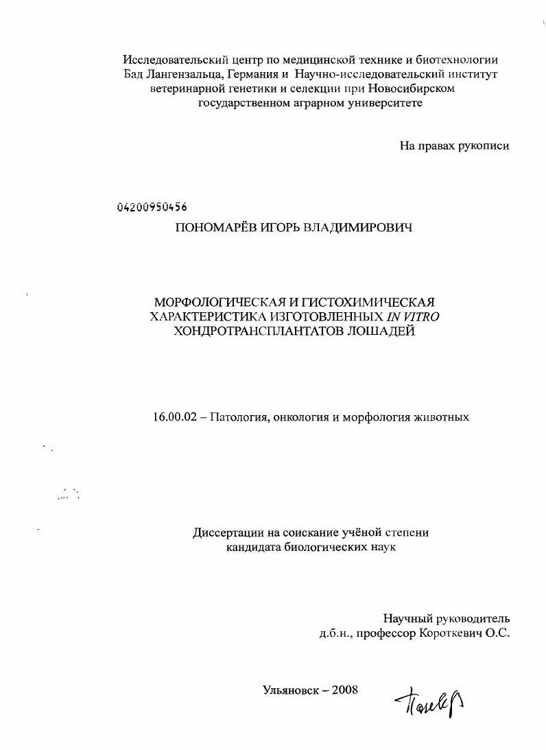 Морфологическая и гистохимическая характеристика изготовленных in vitro хондротрансплантатов лошадей