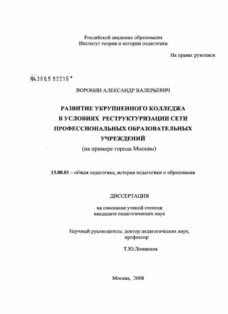 Развитие укрупненного колледжа в условиях реструктуризации сети профессиональных образовательных учреждений : на примере города Москвы