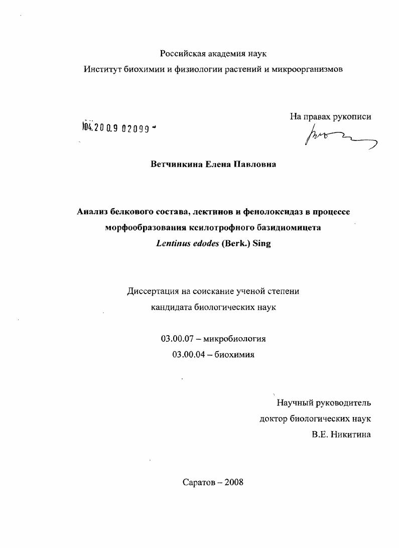 скачать диссертацию Анализ белкового состава, лектинов и фенолоксидаз в процессе морфообразования ксилотрофного базидиомицета Lentinus edodes (Berk.) Sing Анализ белкового состава, лектинов и фенолоксидаз в процессе морфообразования ксилотрофного базидиомицета Lentinus edodes (Berk.) Sing