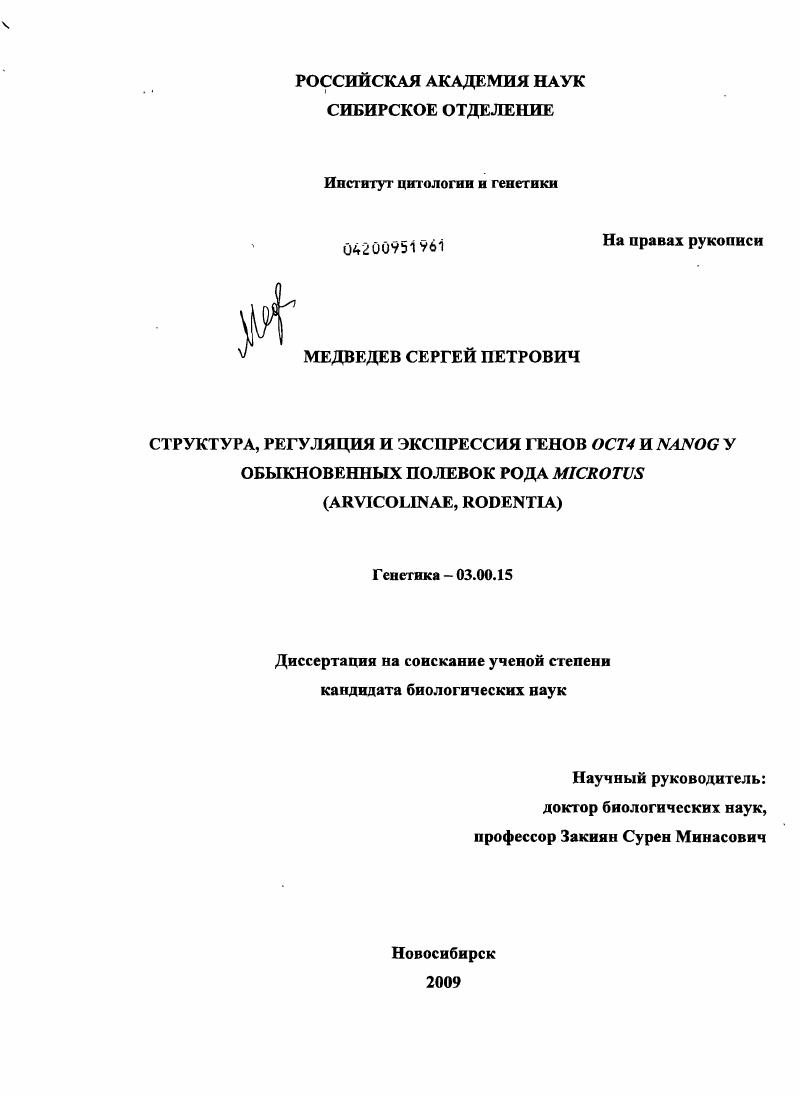 Структура, регуляция и экспрессия генов Oct4 и Nanog у обыкновенных полевок рода Microtus (Arvicolinae, Rodentia)
