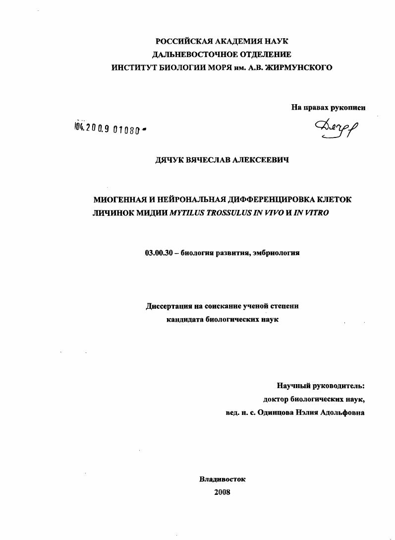 Миогенная и нейрональная дифференцировка клеток личинок мидии Mytilus trossulus in vivo и in vitro