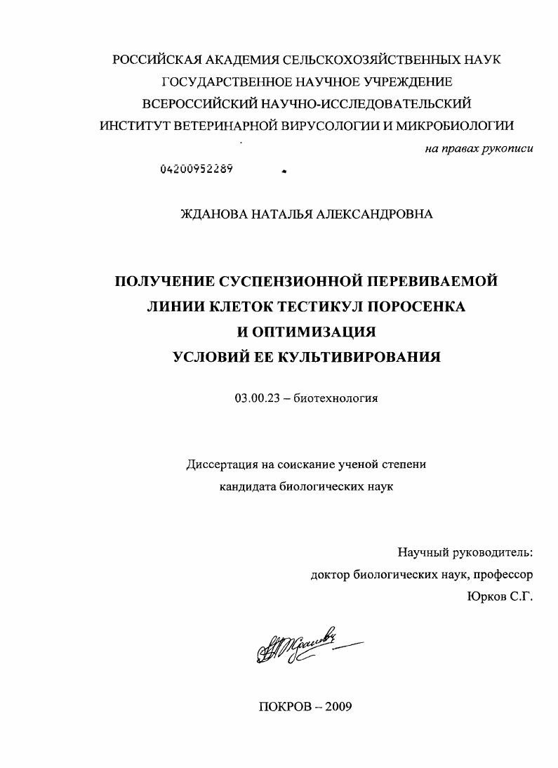 Получение суспензионной перевиваемой линии клеток тестикул поросенка и оптимизация условий ее культивирования