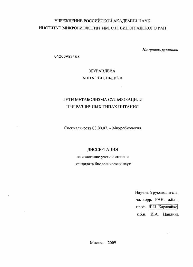 Пути метаболизма сульфобацилл при различных типах питания
