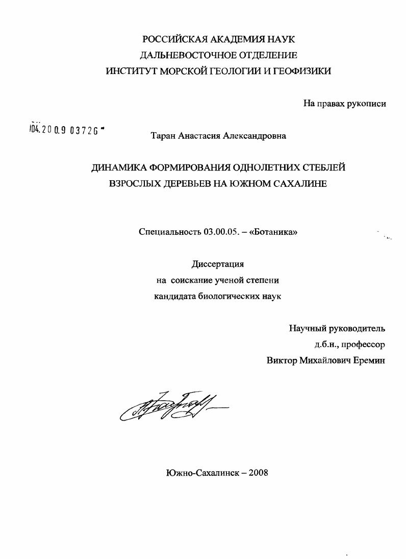 скачать диссертацию Динамика формирования однолетних стеблей взрослых деревьев на Южном Сахалине Динамика формирования однолетних стеблей взрослых деревьев на Южном Сахалине