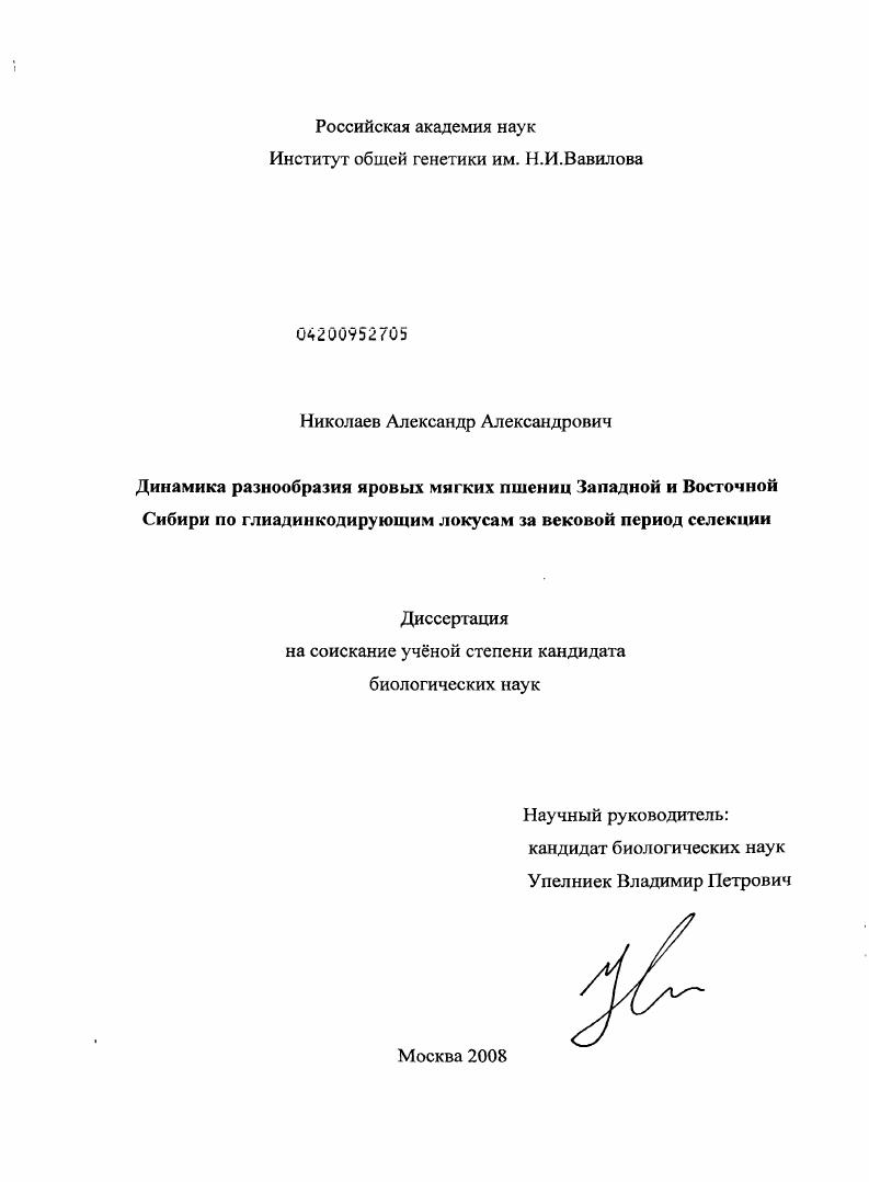 скачать диссертацию Динамика разнообразия яровых мягких пшениц Западной и Восточной Сибири по глиадинкодирующим локусам за вековой период селекции Динамика разнообразия яровых мягких пшениц Западной и Восточной Сибири по глиадинкодирующим локусам за вековой период селекции