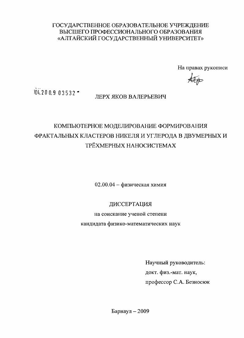 Компьютерное моделирование формирования фрактальных кластеров никеля и углерода в двумерных и трехмерных наносистемах
