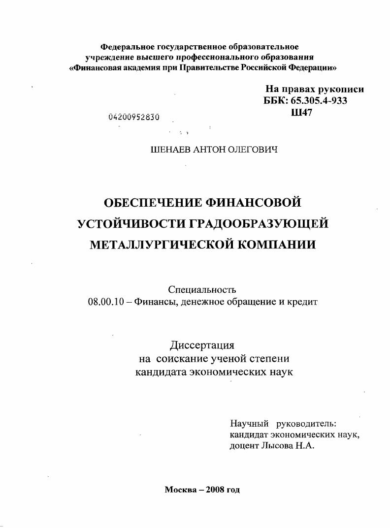 Обеспечение финансовой устойчивости градообразующей металлургической компании