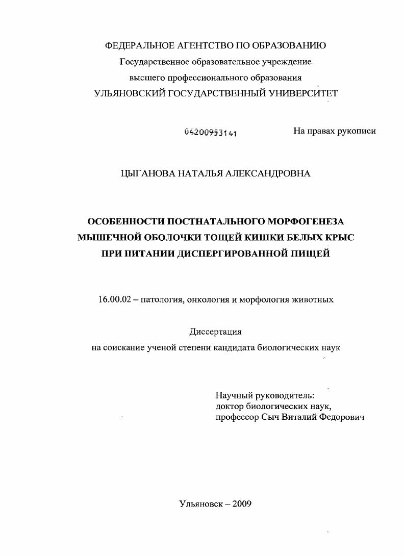 скачать диссертацию Особенности постнатального морфогенеза мышечной оболочки тощей кишки белых крыс при питании диспергированной пищей Особенности постнатального морфогенеза мышечной оболочки тощей кишки белых крыс при питании диспергированной пищей