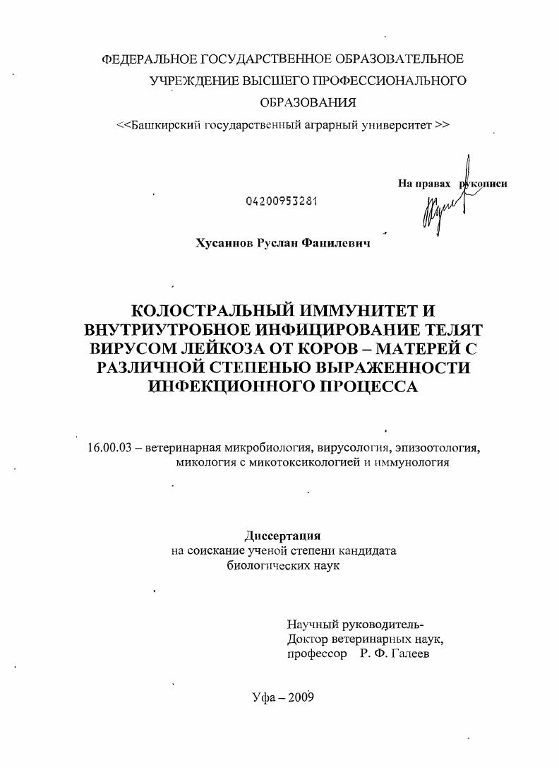 Колостральный иммунитет и внутриутробное инфицирование телят вирусом лейкоза от коров-матерей с различной степенью выраженности инфекционного процесса