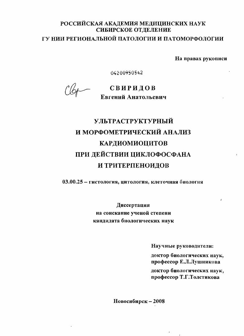 скачать диссертацию Ультраструктурный и морфометрический анализ кардиомиоцитов при действии циклофосфана и тритерпеноидов Ультраструктурный и морфометрический анализ кардиомиоцитов при действии циклофосфана и тритерпеноидов