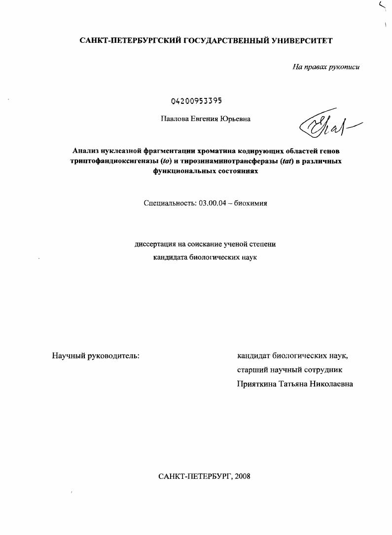 скачать диссертацию Анализ нуклеазной фрагментации хроматина кодирующих областей генов триптофандиоксигеназы (to) и тирозинаминотрансферазы (tat) в различных функциональных состояниях Анализ нуклеазной фрагментации хроматина кодирующих областей генов триптофандиоксигеназы (to) и тирозинаминотрансферазы (tat) в различных функциональных состояниях