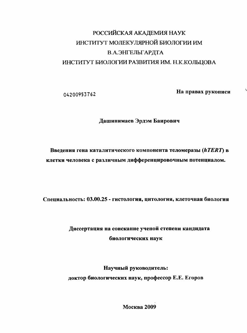 Введение гена каталитического компонента теломеразы (hTERT) в клетки с различным дифференцировочным потенциалом