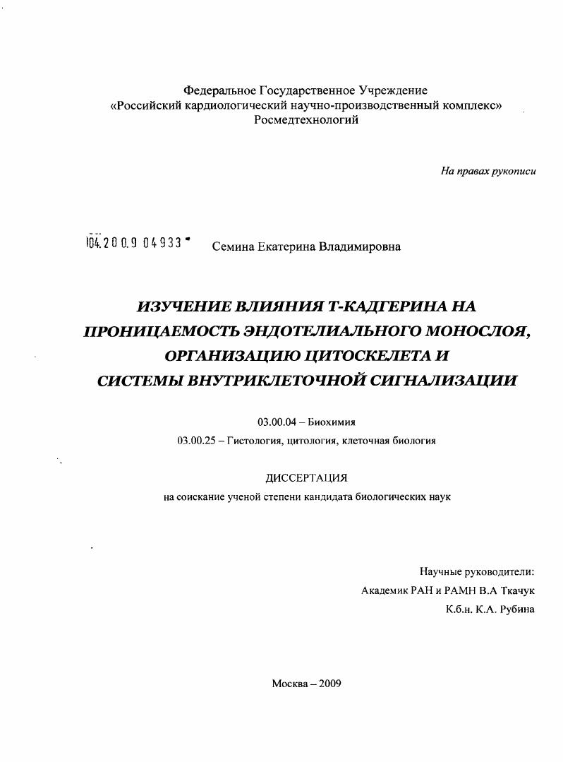 скачать диссертацию Изучение влияния Т-кадгерина на проницаемость эндотелиального монослоя, организацию цитоскелета и системы внутриклеточной сигнализации Изучение влияния Т-кадгерина на проницаемость эндотелиального монослоя, организацию цитоскелета и системы внутриклеточной сигнализации