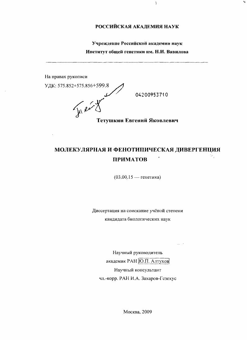 Молекулярная и фенотипическая дивергенция приматов