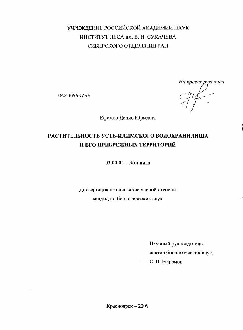 Растительность Усть-Илимского водохранилища и его прибрежных территорий