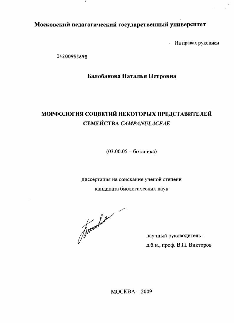 Морфология соцветий некоторых представителей семейства Campanulaceae