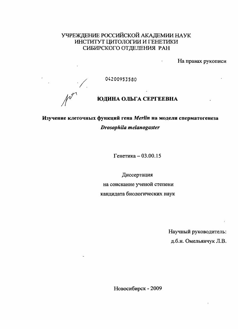 скачать диссертацию Изучение клеточных функций гена Merlin на модели сперматогенеза Drosophila Melanogaster Изучение клеточных функций гена Merlin на модели сперматогенеза Drosophila Melanogaster