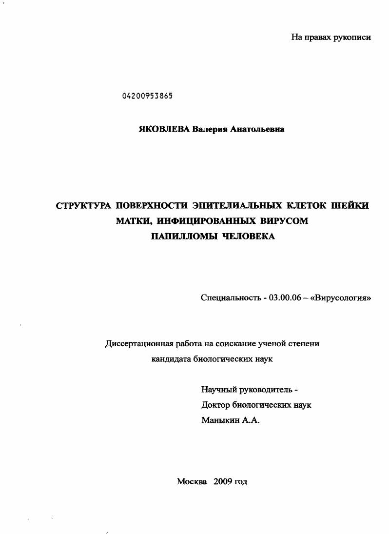 Структура поверхности эпителиальных клеток шейки матки, инфицированных вирусом папилломы человека
